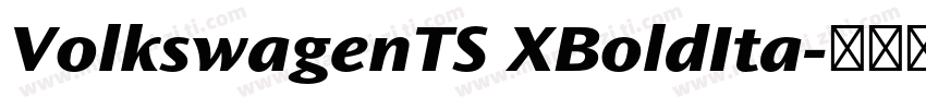 VolkswagenTS XBoldIta字体转换